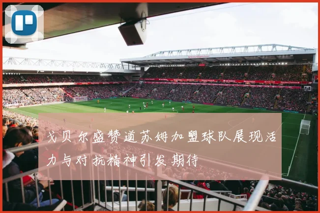 戈贝尔盛赞道苏姆加盟球队展现活力与对抗精神引发期待