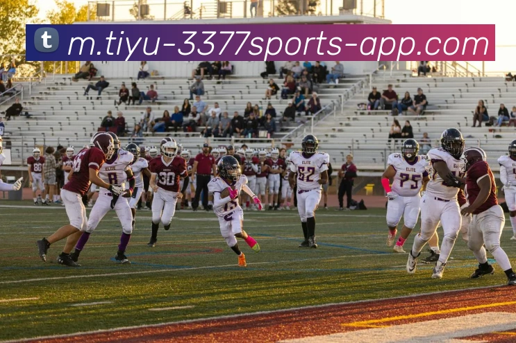 多媒体互动体验